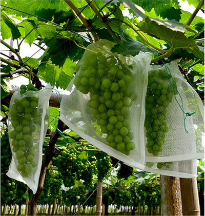 Fruit Protection Garden Mesh  Bag 50 pcs